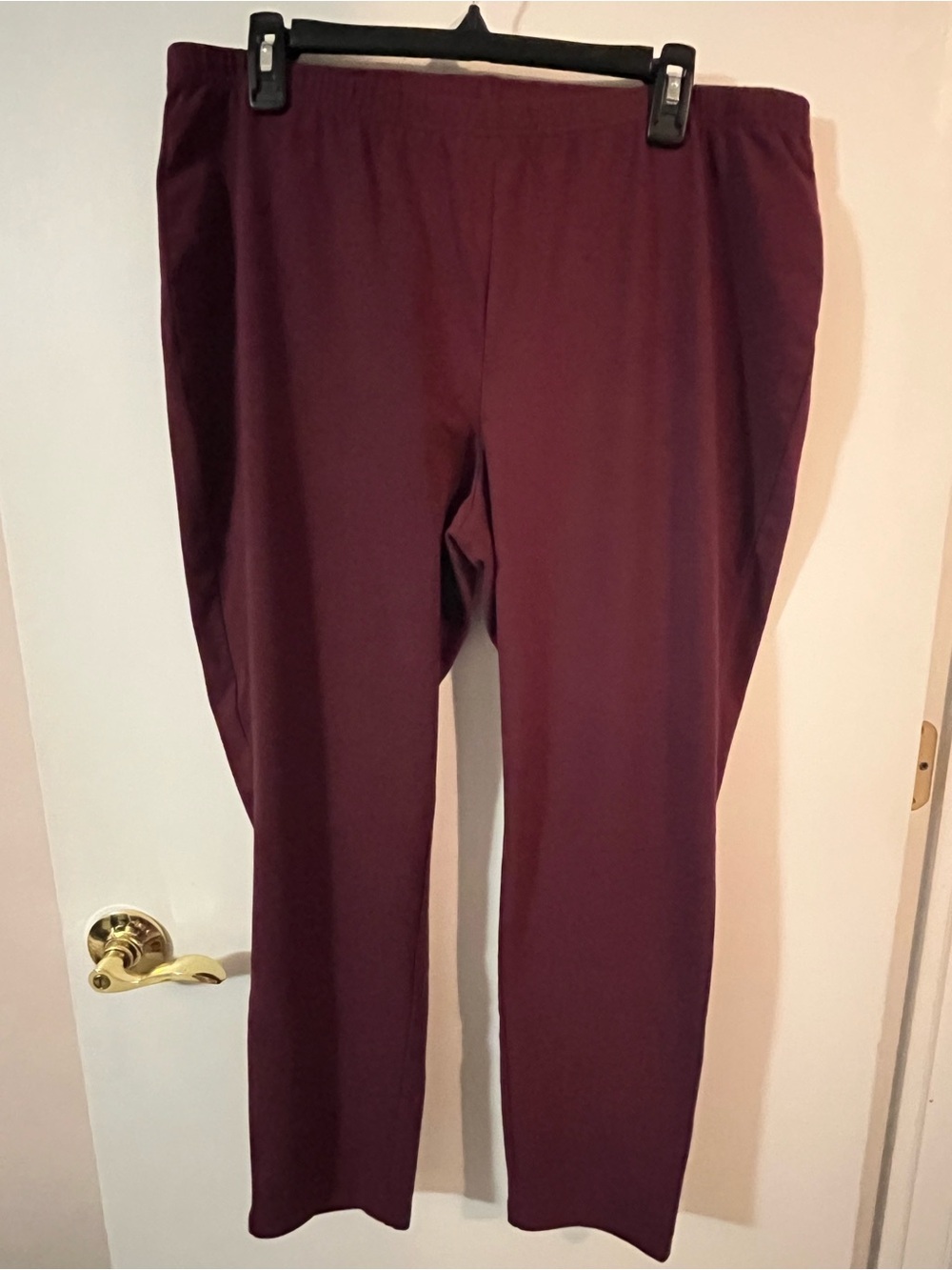 Women with control XL  Pull-On Pants in Burgundy